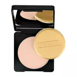 ART-VISAGE Компактная пудра для жирной и комбинированной кожи "PERFECT SKIN"