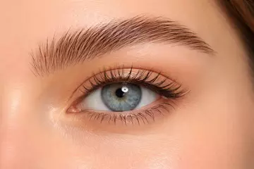 Эффект ламинированных бровей в макияже