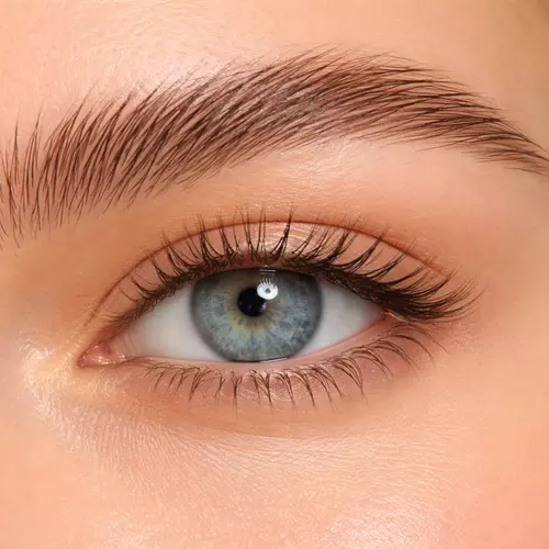 Эффект ламинированных бровей в макияже